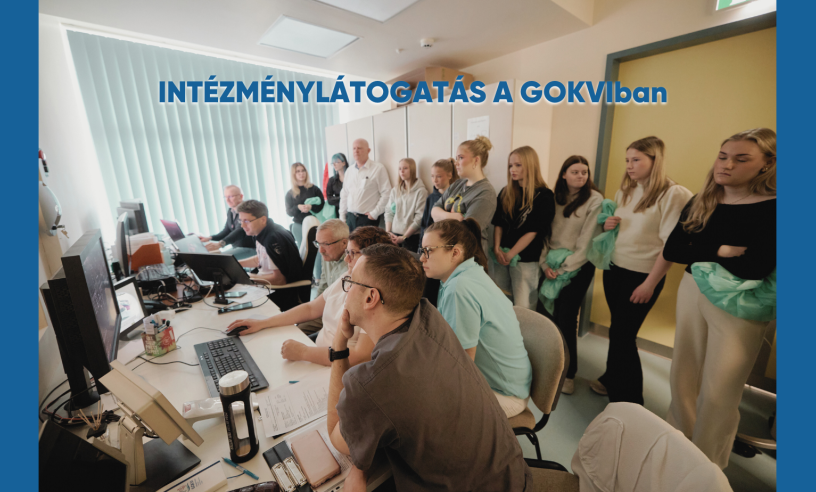 Intezmenylatogatas.png