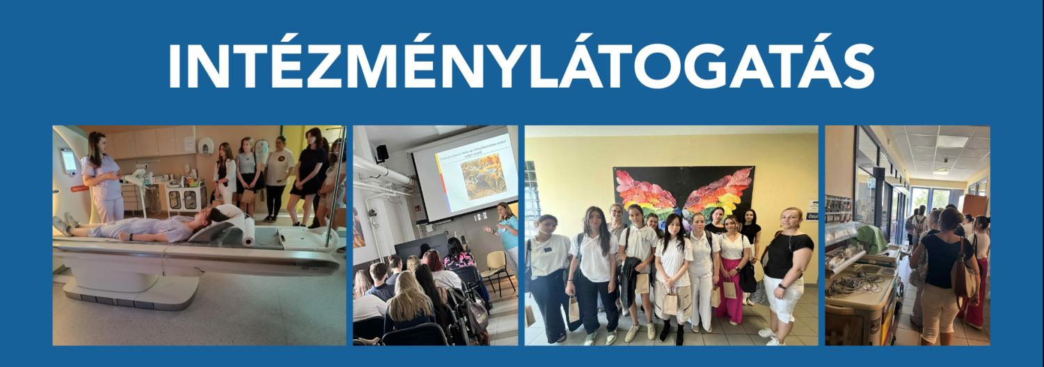 Intezmenylatogatas1.png