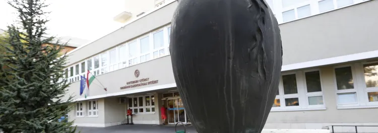 Szívszobor az intézet előtt